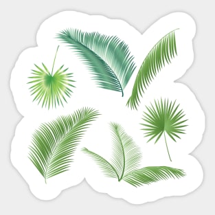 Palm Tree leaves tropical Summer floral decor Sticker